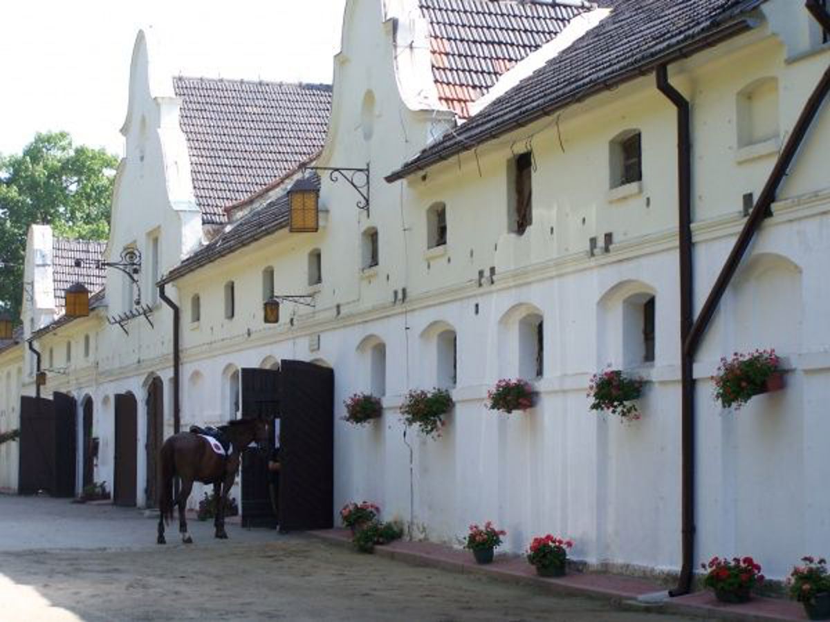 Stadnina Koni Moszna, hotel